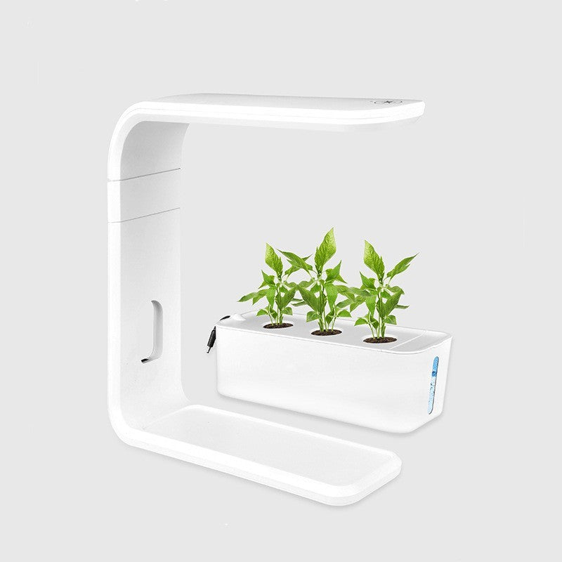 Indoor Plant Planter